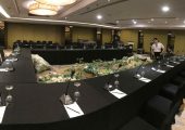 For RENTAL conference Microphone